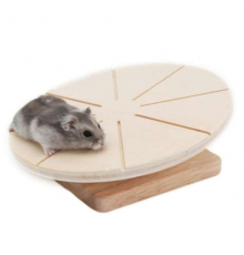 LIVING WORLD Green Laufteller - 20 cm