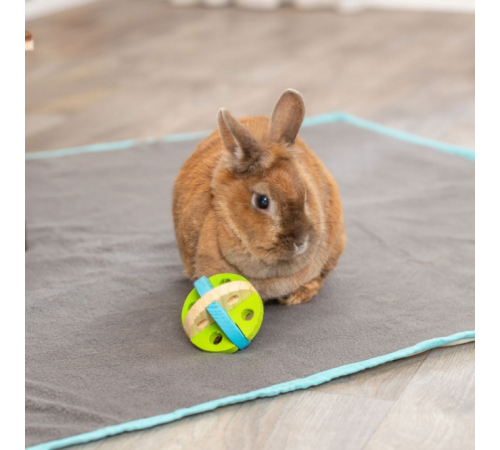 Trixie Spiel- und Snackball aus Holz - 7,5 cm