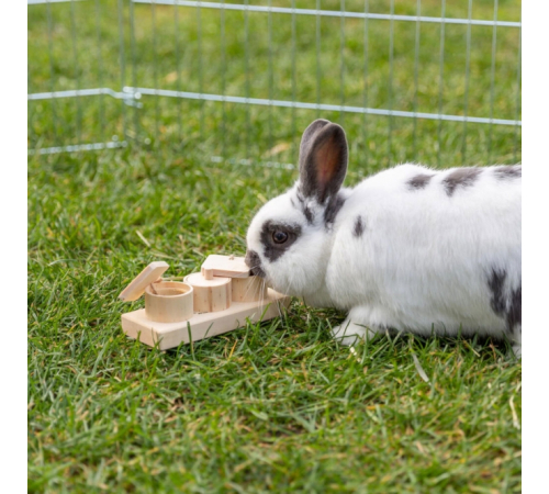 Trixie Snack Cups für Vögel und Kleintiere