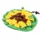 Duvoplus Schnüffelmatte Sonnenblume