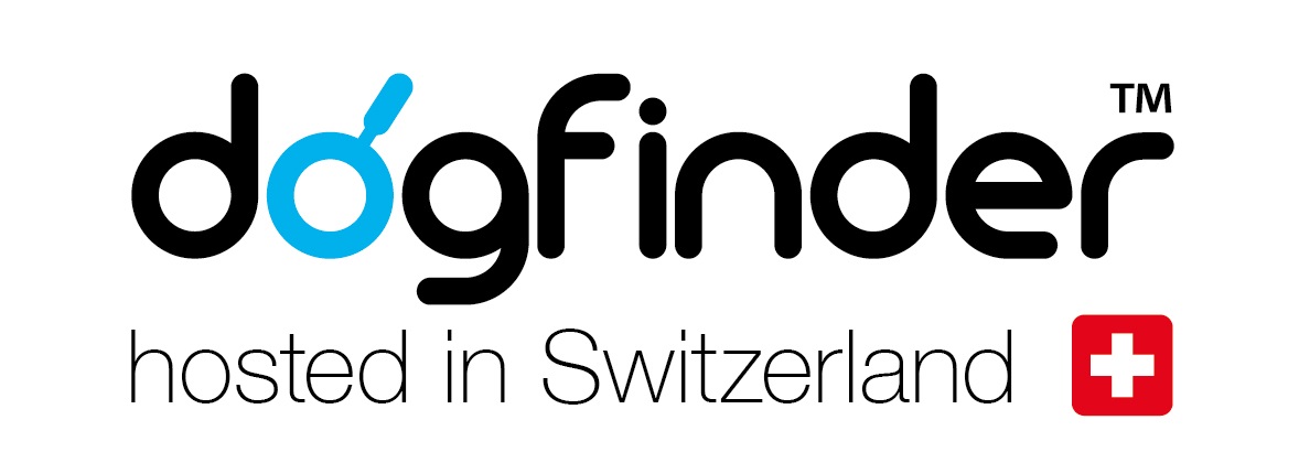 Логотип сервиса curli DogFinder